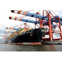 6823 Containerumschlag MSC ROMA - Terminal EUROGATE Hamburg | 